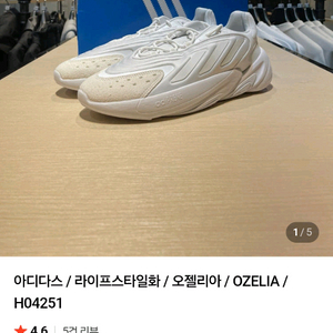 아디다스 오젤리아 운동화