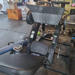 레그프레스 팝니다 (원판 190kg 포함)