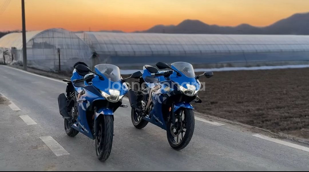 gsxr-125 19년식 판매합니다--5