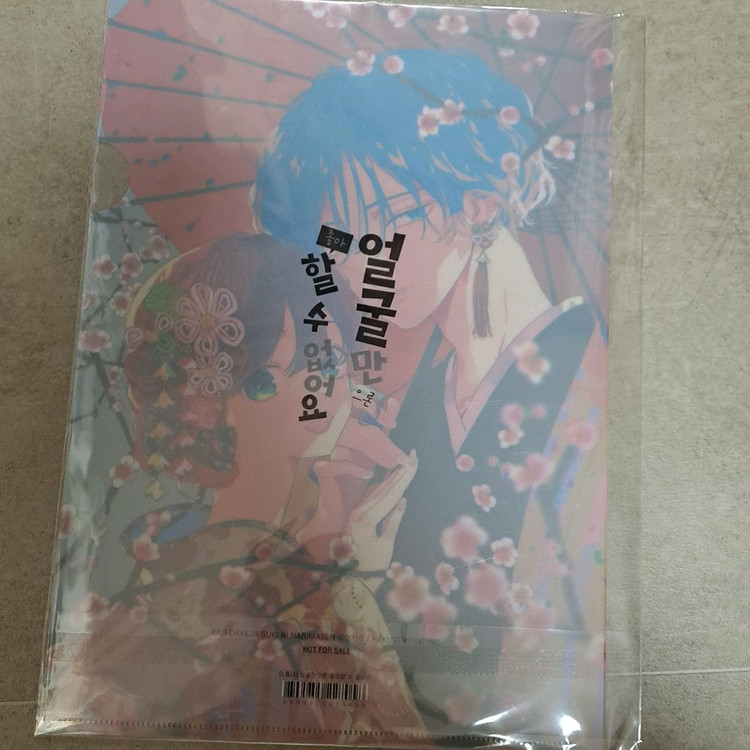 얼굴만으론좋아할수없어요 만화책 11,12,13권 특전--6