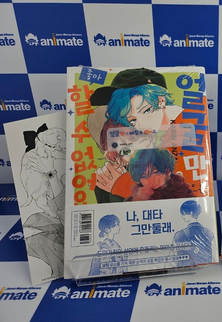 얼굴만으론좋아할수없어요 만화책 11,12,13권 특전--1