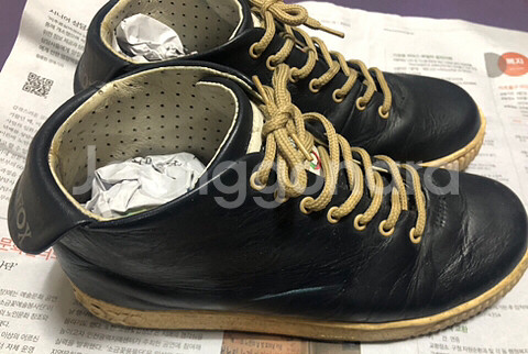 트레블폭스 Travel Fox 오리지날 날개--4