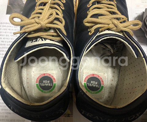 트레블폭스 Travel Fox 오리지날 날개--3