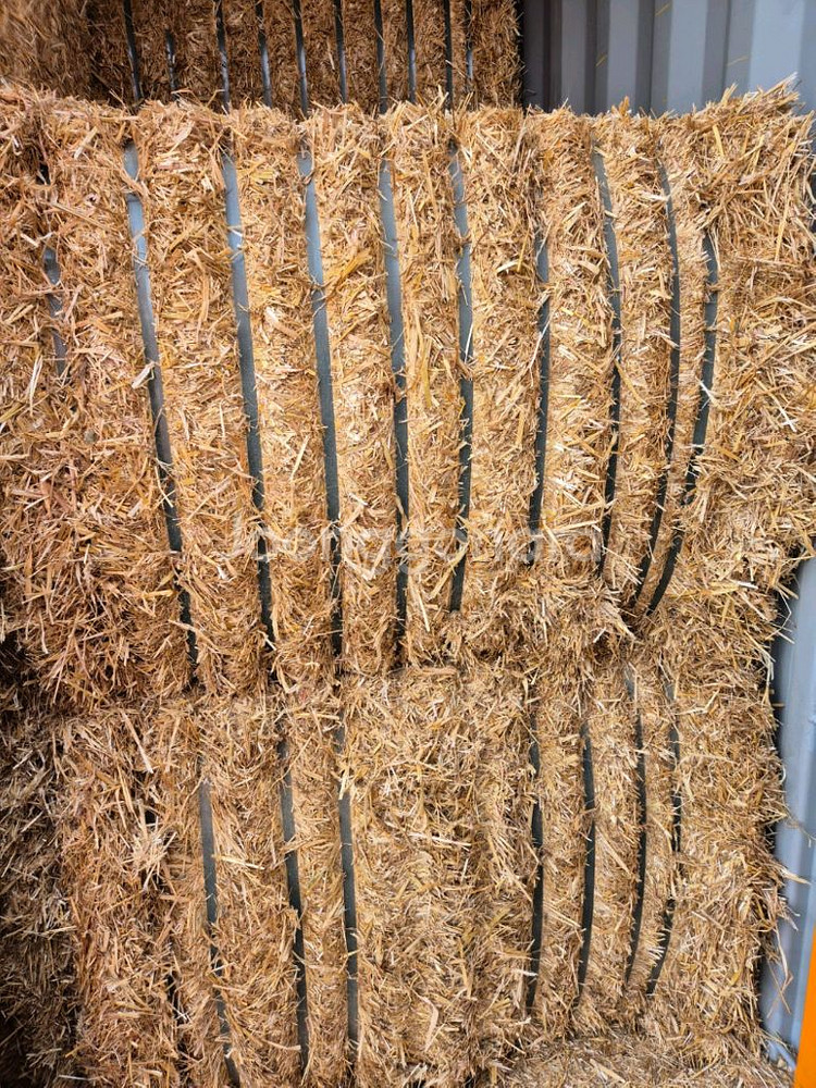 KPN 등등 한우정액--0