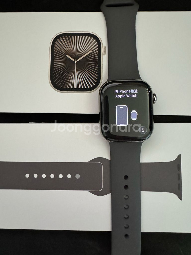 애플워치10 네츄럴티타늄 42mm GPS+셀룰러--0