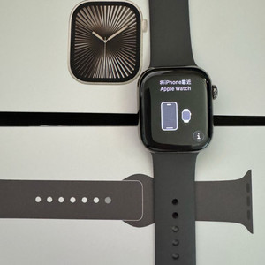 애플워치10 네츄럴티타늄 42mm GPS+셀룰러