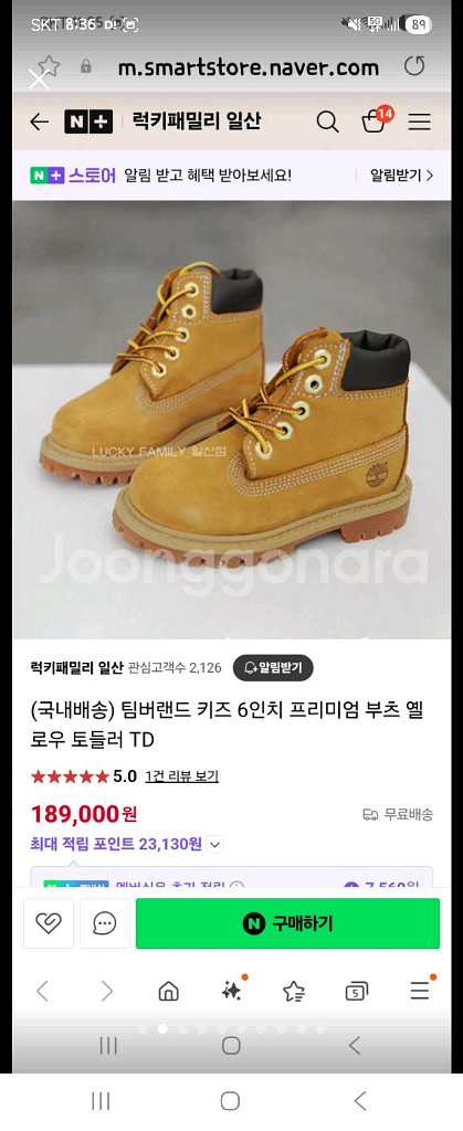 팀버랜드 6인치 토들러 8사이즈--1