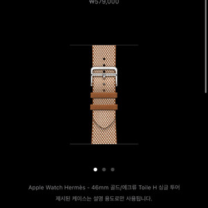 애플워치 에르메스 46mm 골드/에크류 Toile H