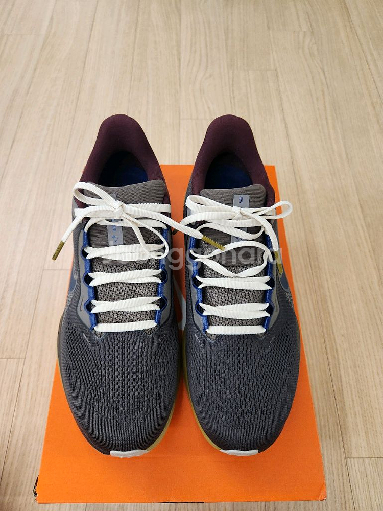 나이키 페가수스 41 프리미엄(260mm)--0