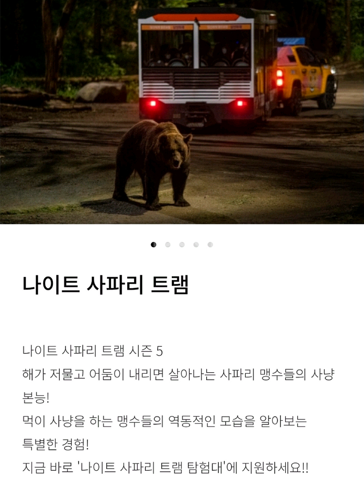 에버랜드 나이트사파리, 발레파킹 팝니다--0