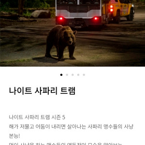 에버랜드 나이트사파리, 발레파킹 팝니다