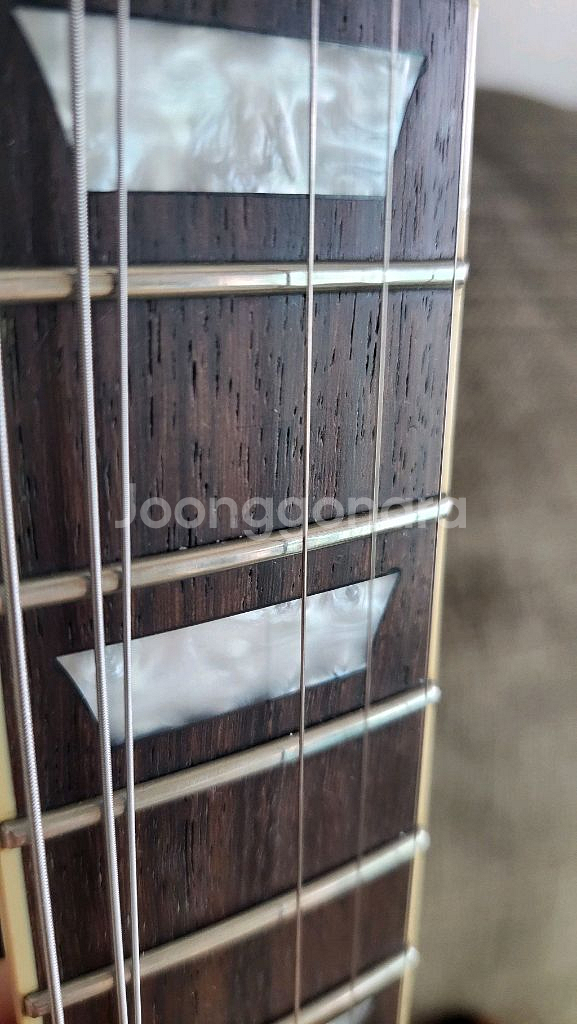 마제스트 Les Paul 일렉기타 Slash AFD--4