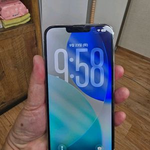 아이폰13프로맥스 256