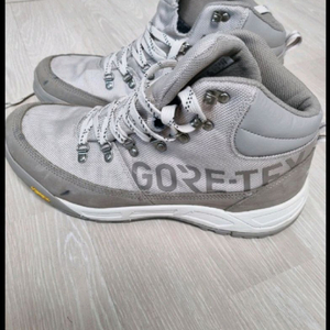 노스페이스 고어텍스 등산화