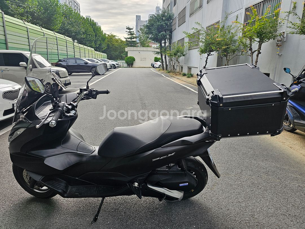 PCX125바이크(대구지역)010-3814-4808--1