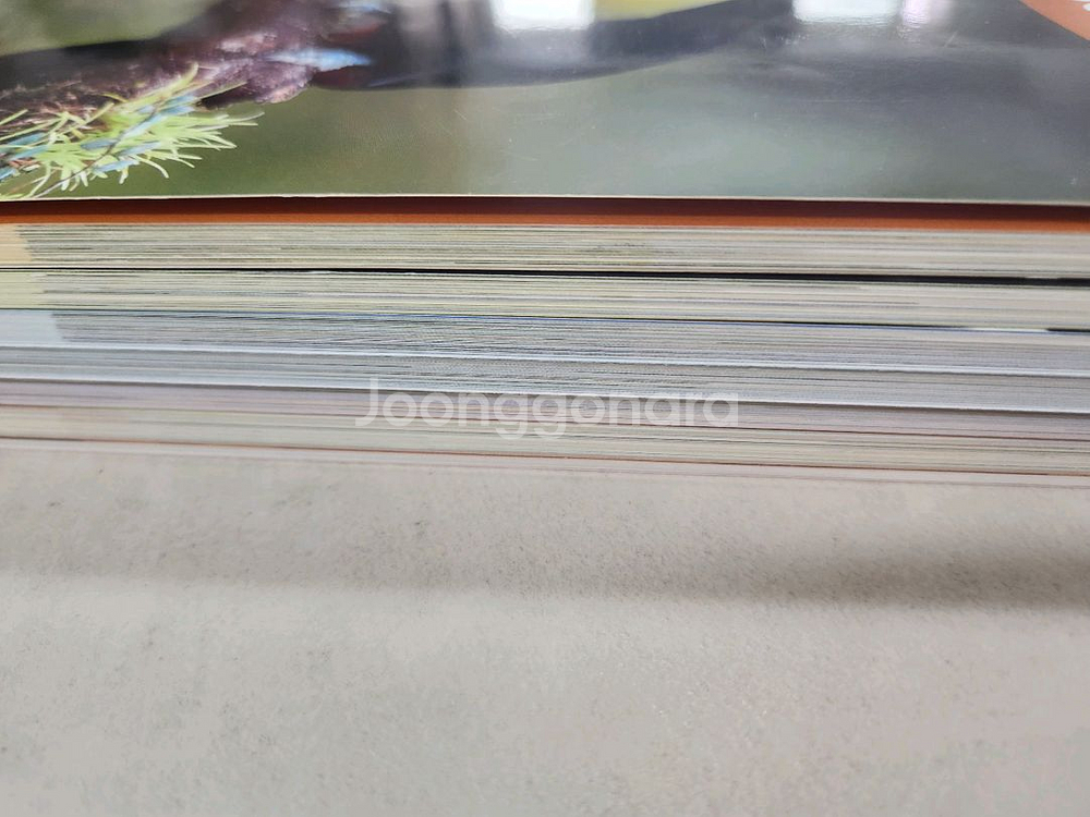 서브젝트링크, 인터렉티브 사이언스 총 6권--1