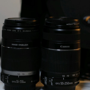 캐논 EF-S 55-250mm IS II 헝그리망원렌즈
