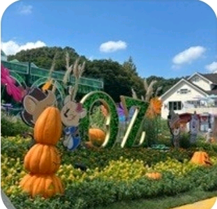에버랜드 자유이용권 판매해요.--0