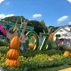 에버랜드 자유이용권 판매해요.