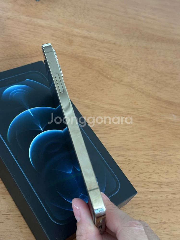 아이폰 12 Pro 골드 512GB--5