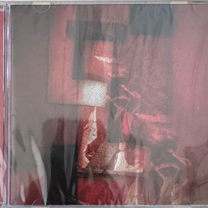 더발룬티어스 L CD