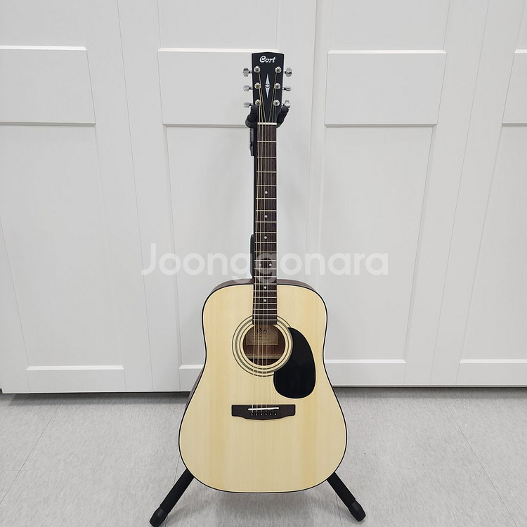 콜트 D바디 통기타 AD810--1