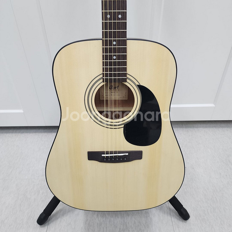 콜트 D바디 통기타 AD810--2