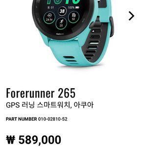 가민 포러너 265 아쿠아 46mm