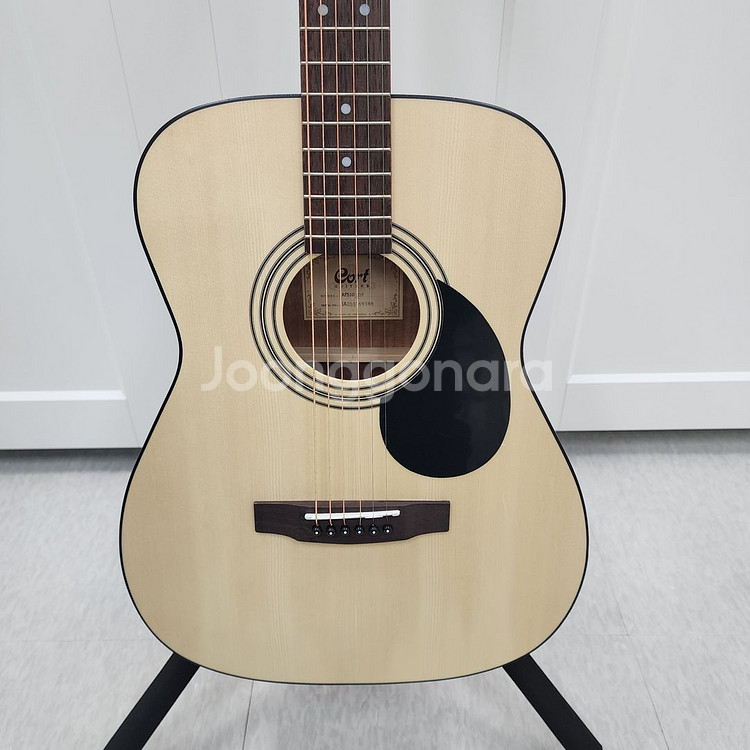 콜트 콘서트바디 통기타 AF510--2