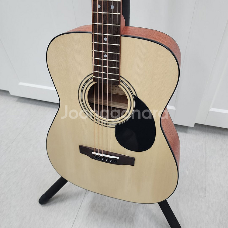 콜트 콘서트바디 통기타 AF510--3