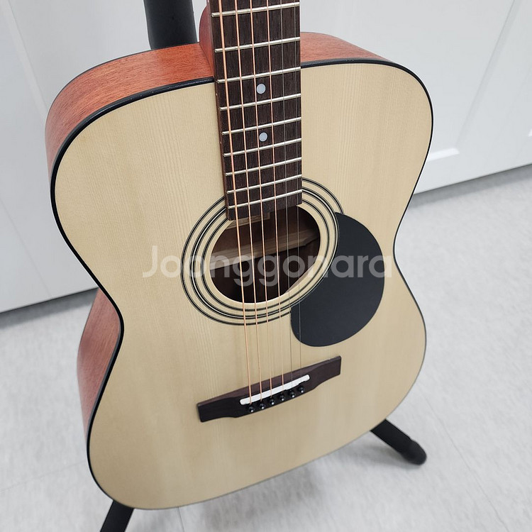 콜트 콘서트바디 통기타 AF510--5