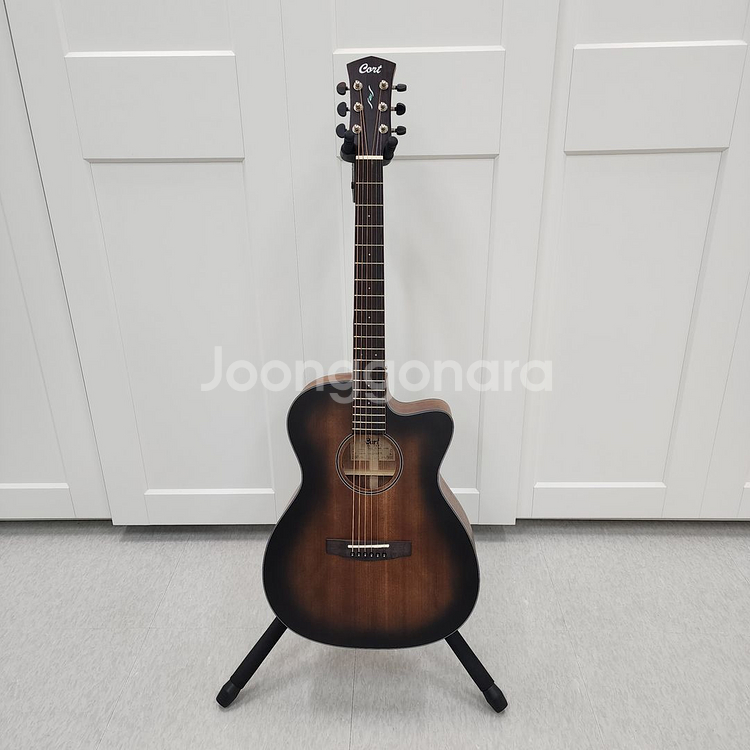 콜트 OM바디 올솔리드 기타 CORE-OC OPBB--1