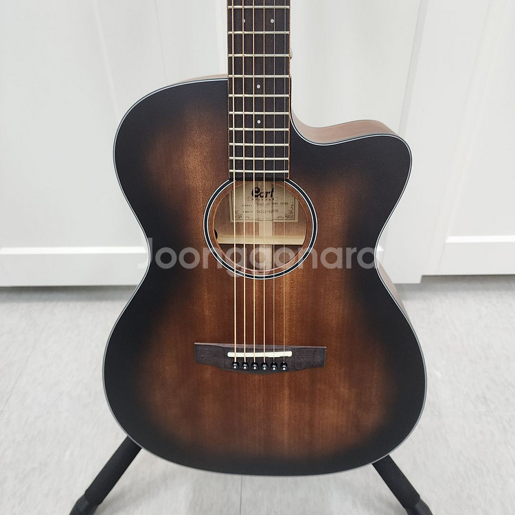 콜트 OM바디 올솔리드 기타 CORE-OC OPBB--2