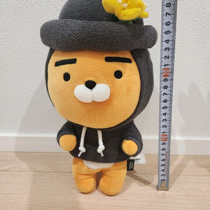 [청주] 제주 라이언 카카오인형