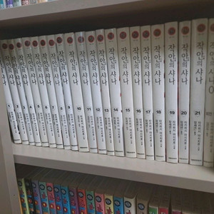 라노벨 만화책 일괄로 싸게 팝니다