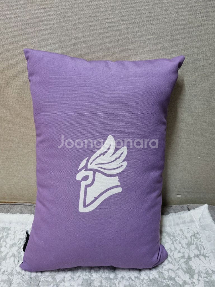 하스스톤 용병단 눈송이 교환소 빛나래 쿠션--1