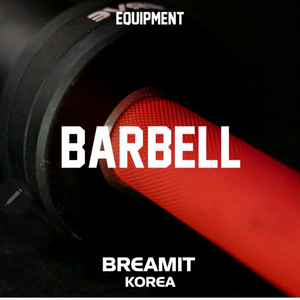 (폐업전 정리) 테크니컬 바벨