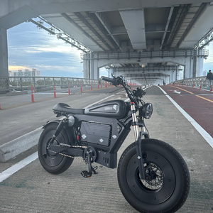 서울/당산/왕십리 동도바이크 s8 PRO 3000w