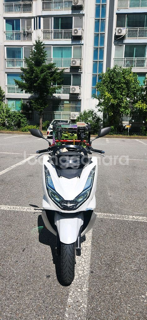 pcx 22년식 28,@@@ 250만원 팝니다--3