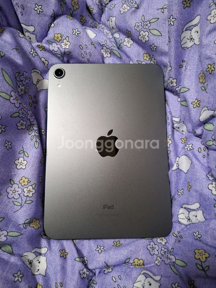 아이패드 미니6 64기가 애케플 팔아요 배터리효율95--5