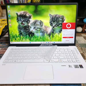 LG그램 15Z90N-VR56K화이트