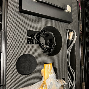 Warm Audio WA8000 GOLD버전 판매합니다