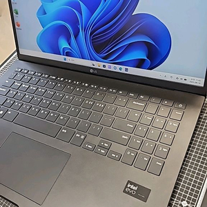 LG그램15z90s 블랙 i5-125h 16g 512