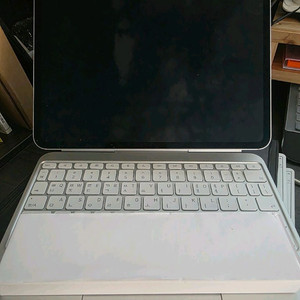 아이패드프로m4. 1TB. 나노텍스쳐. 애케플. 풀셋