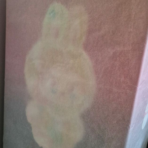 (정가양도)라부부 락더유니버스 봄에피는라부부키링