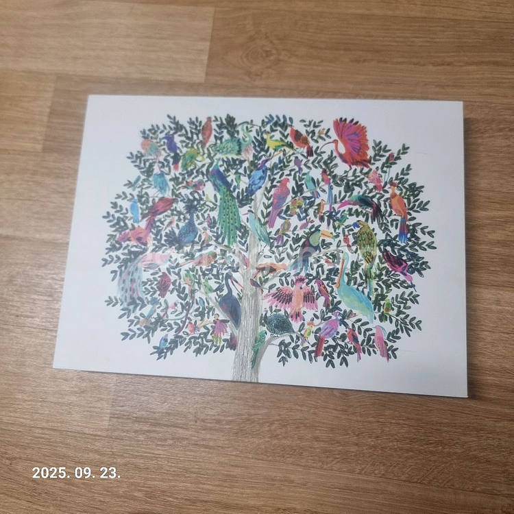와콤 인튜어스 프로 PTH-660--1