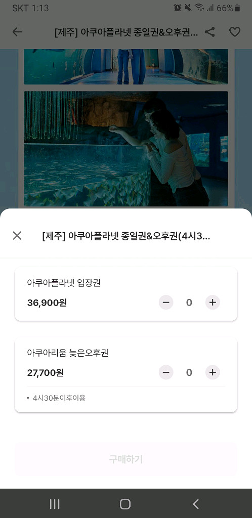 제주 아쿠아리움 오후권(4시 30분 이후) 2개--3