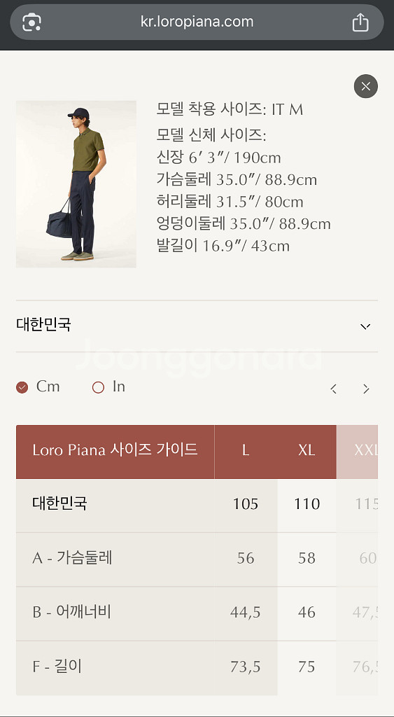 [ L ] 로로피아나 브렌트우드 폴로 카라티셔츠--6