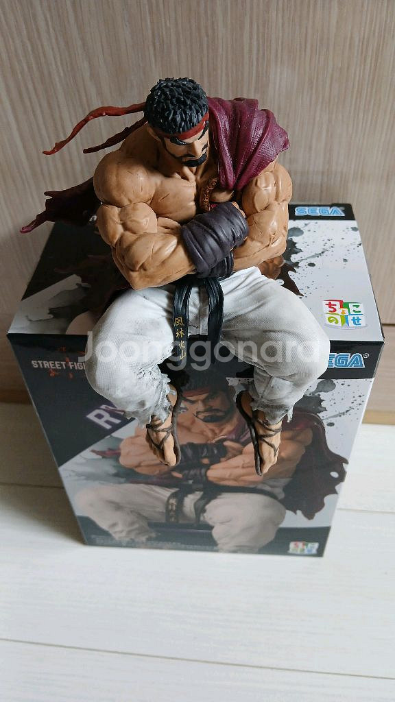세가 스트리트 파이트6 쵸코노세 류 피규어 제일복권--3