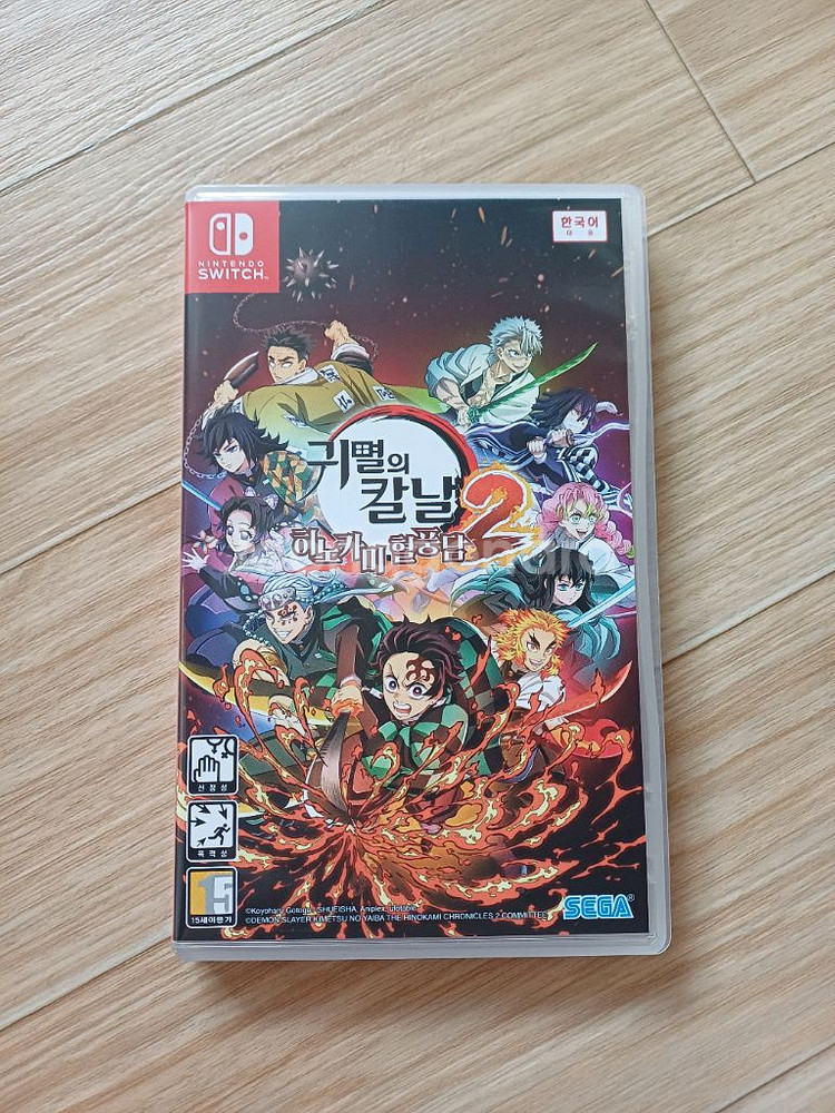 히노카미 혈풍담2 스위치--0